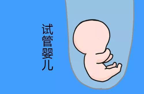 苏医生